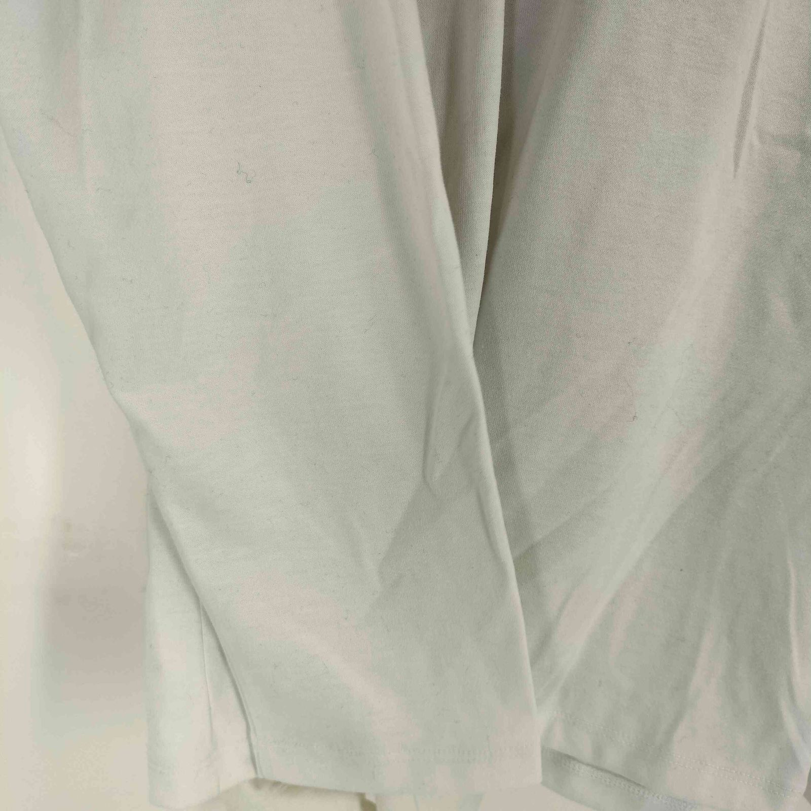 ザノースフェイス THE NORTH FACE  LS Bi-Colored Nuptse Tee メンズ JPN：L 