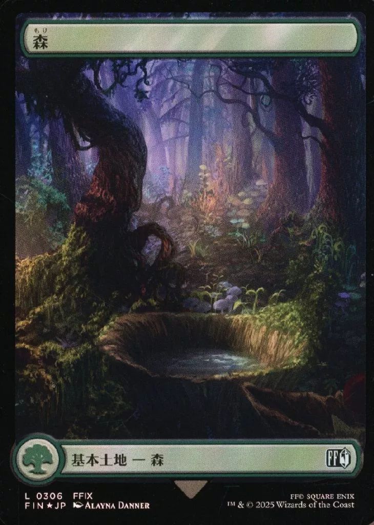 中古】マジックザギャザリング 0306[L]：【FIN】【FOIL】【名所・フル