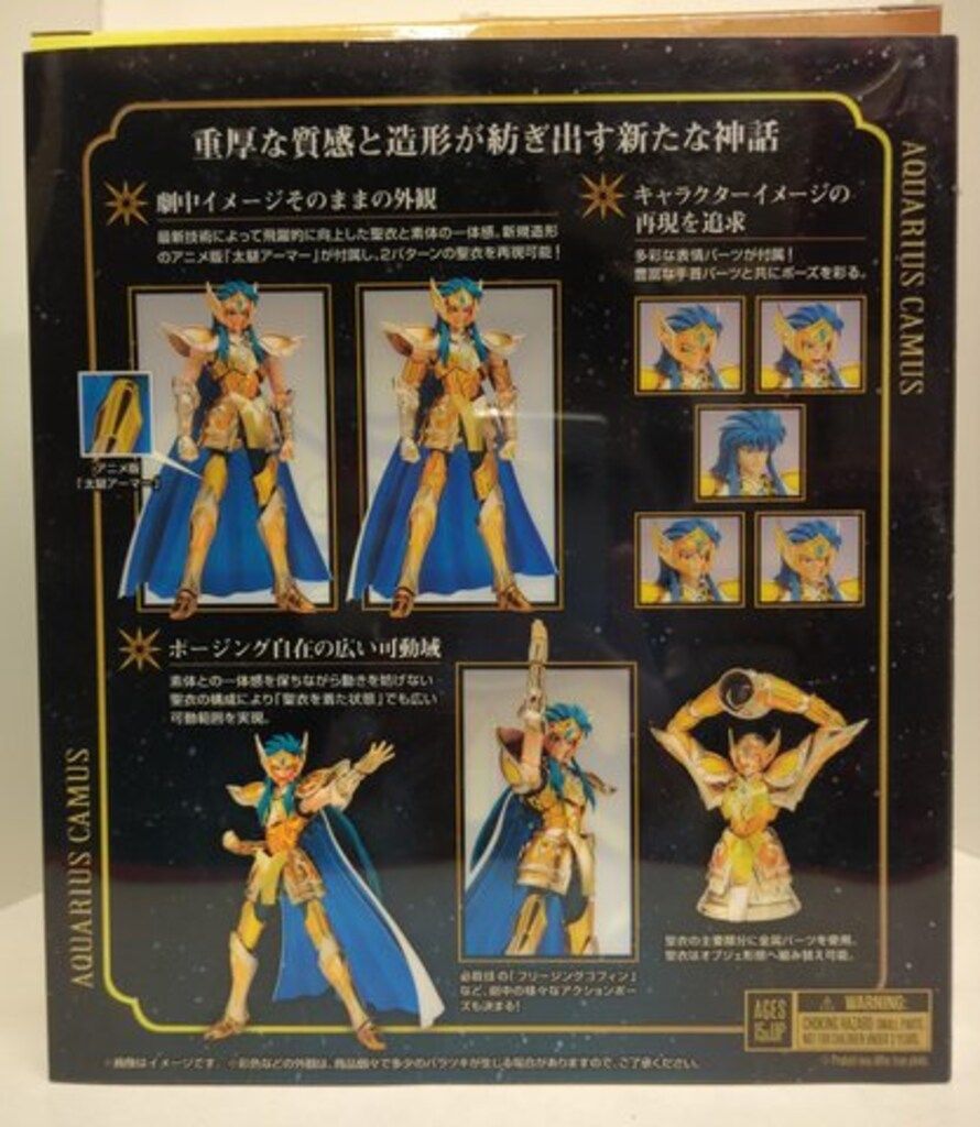 活動歴および当時の関連ビジュアル記録