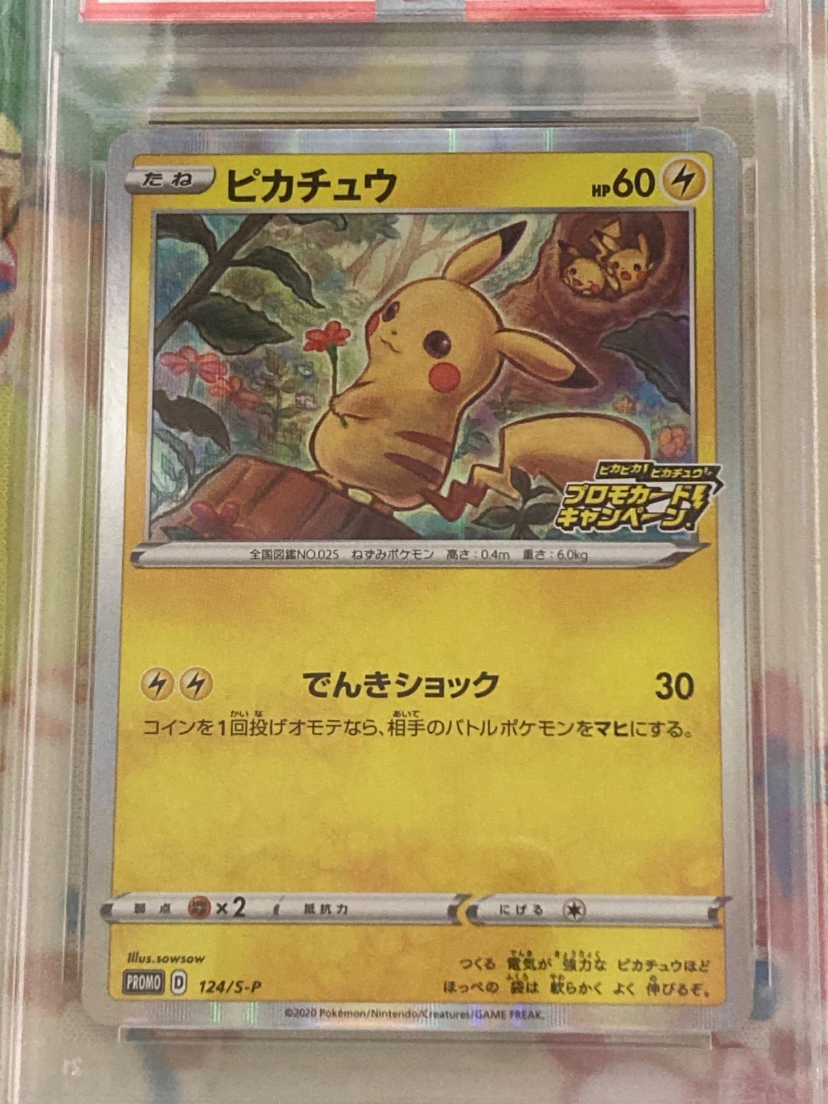 プロモカードキャンペーン