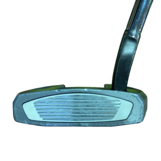 中古】 テーラーメイド Spider SR PLATINUM/WHITE フローネック 34