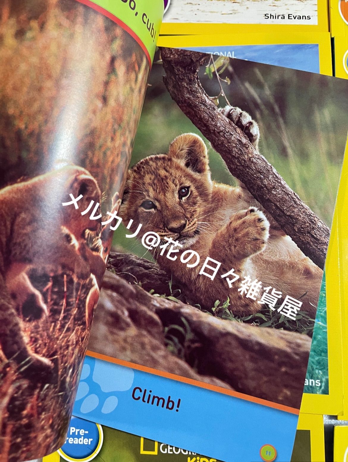 送料無料 新品 30冊 National Geographic Kids Pre-Reader mp3音源付き