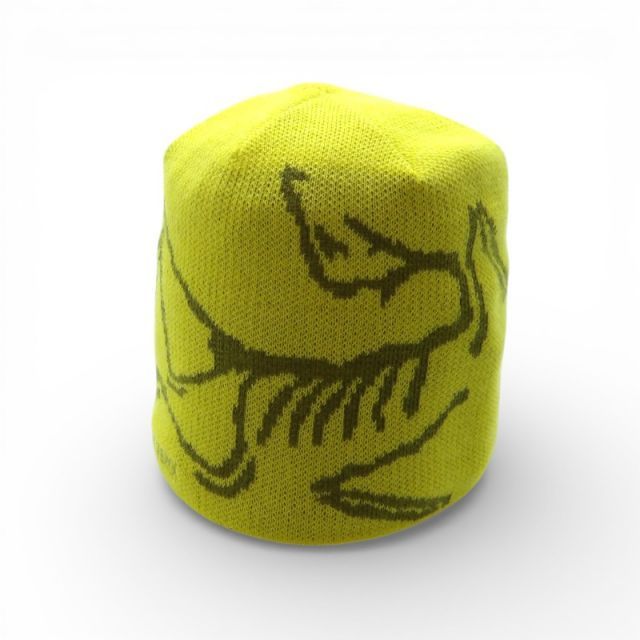ARCTERYX 25aw BIRD HEAD TOQUE BEAMS EXCLUCIVE OLIVE MOSS