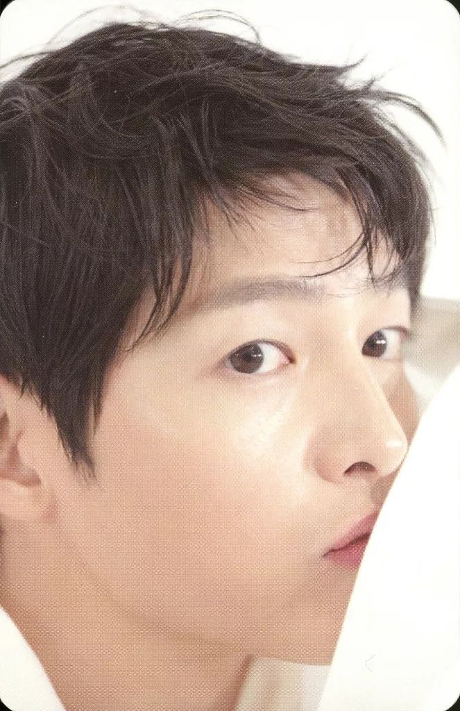 中古】コレクションカード(男性) ソン・ジュンギ(Song Joong Ki)/裏面