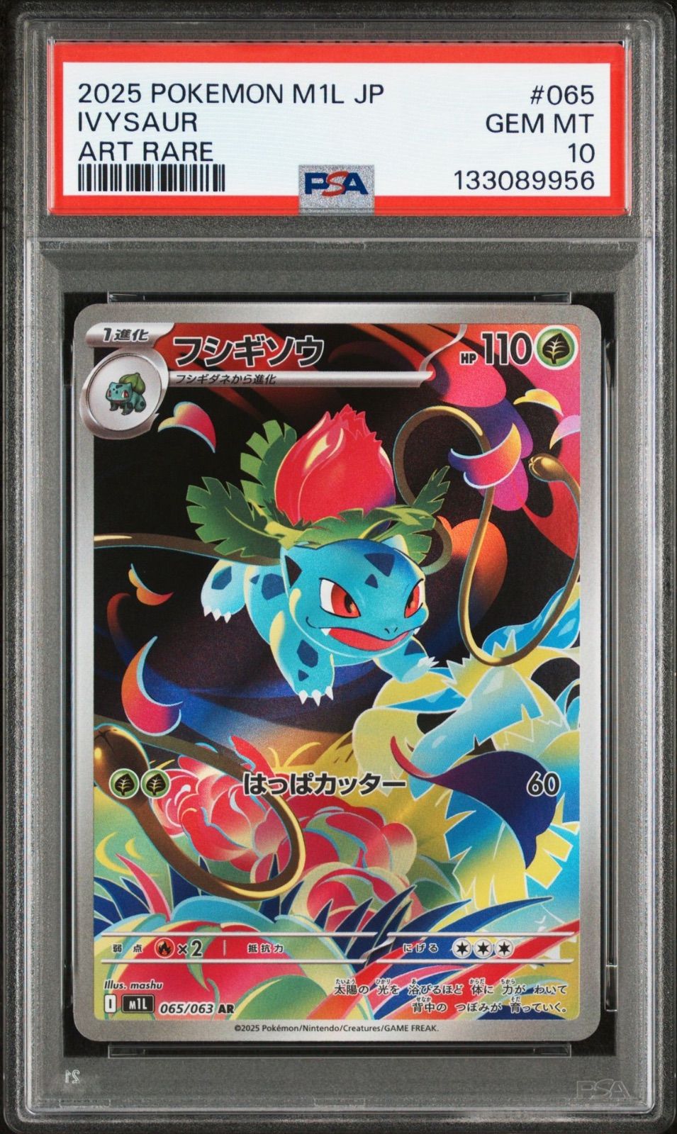 PSA10】 3連番 フシギダネ フシギソウ メガフシギバナex AR SAR メガ PSA10】 3連番 フシギダネ フシギソウ メガフシギバナex AR SAR メガ