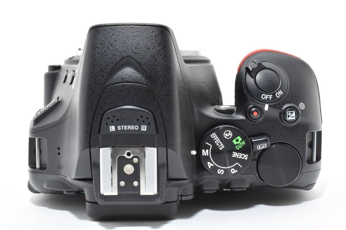 ☆極上美品☆《ショット数2,920回》ニコン NIKON D5500 ボディ