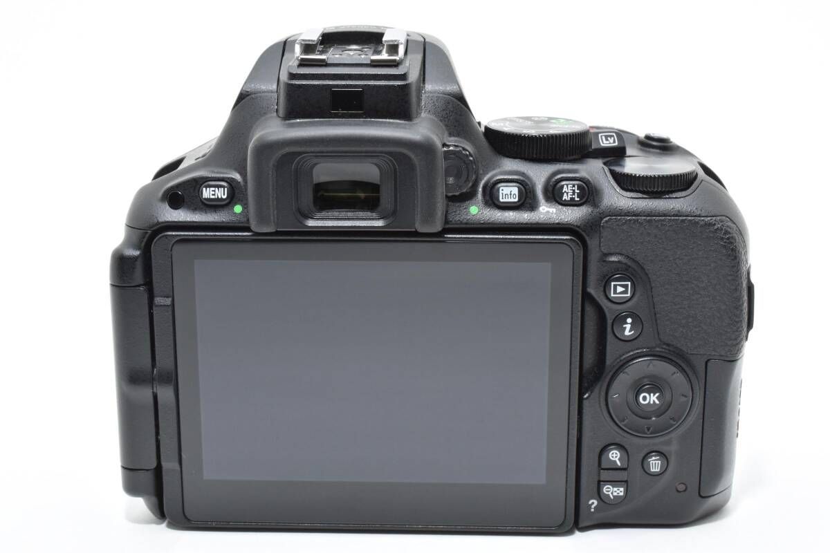 ☆極上美品☆《ショット数2,920回》ニコン NIKON D5500 ボディ