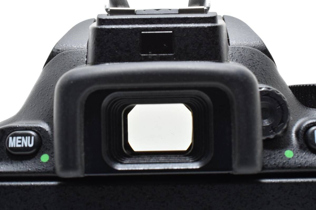 ☆極上美品☆《ショット数2,920回》ニコン NIKON D5500 ボディ