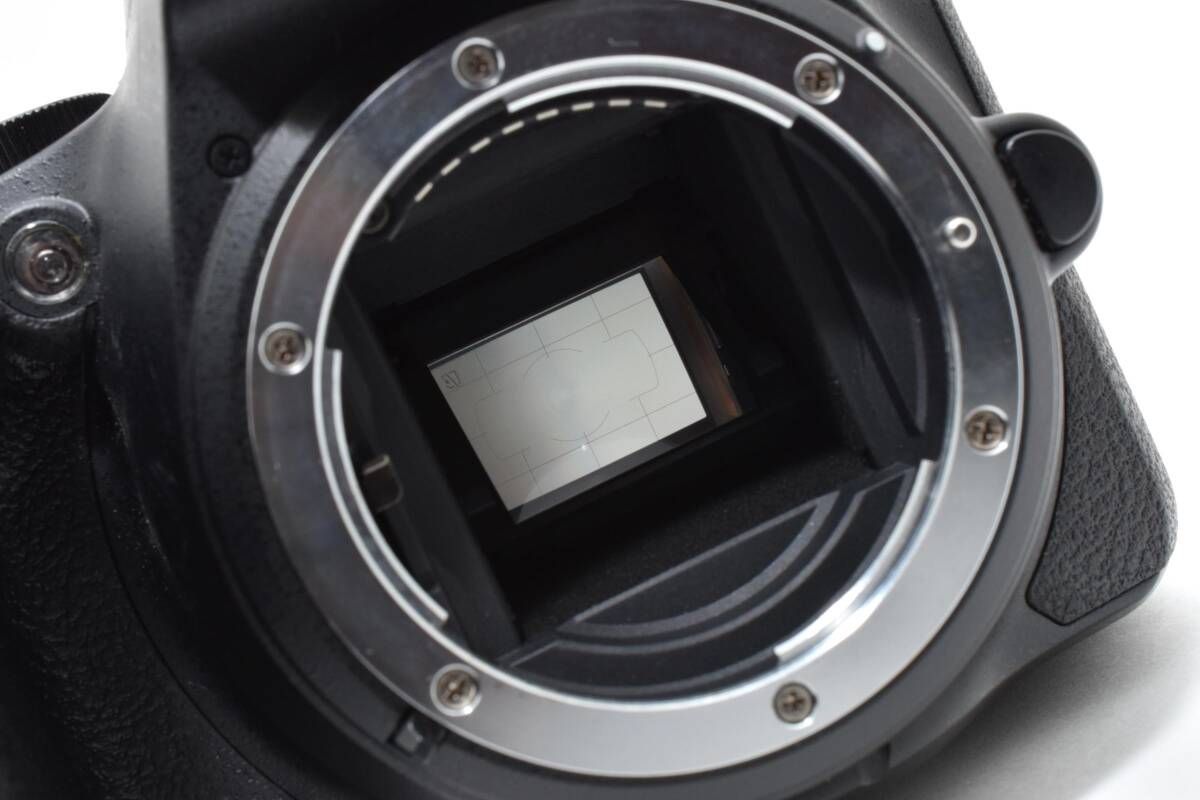 ☆極上美品☆《ショット数2,920回》ニコン NIKON D5500 ボディ