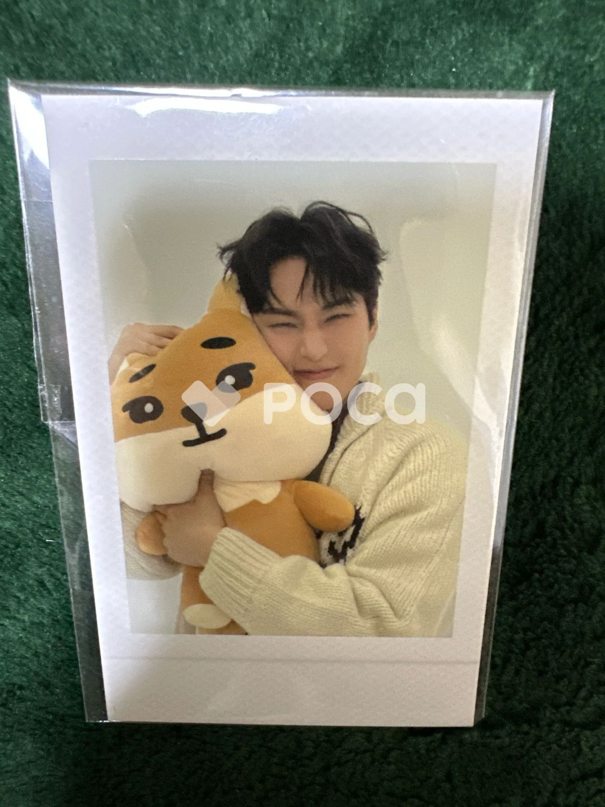 DAY6 ヨンケイ 2024 DAY6 SPECIAL CONCERT 'The Present' DENIMALZ