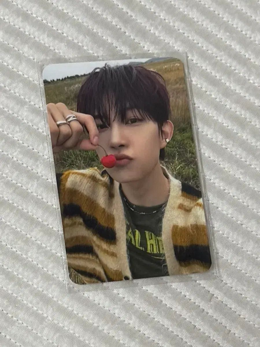 アルディONE ゴヌ 1週目 公開番組 サノク トレカ - メルカリ