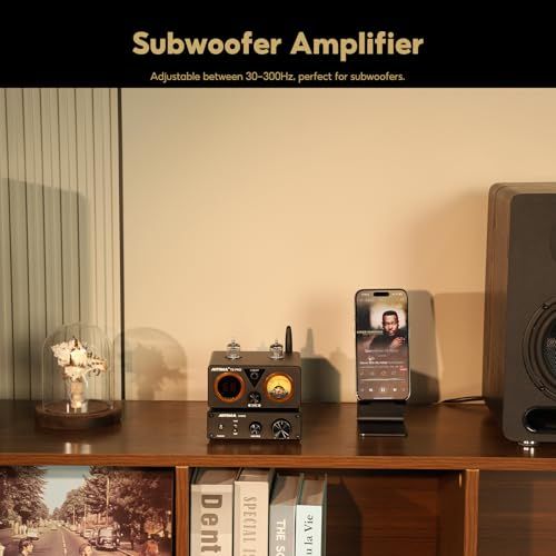 3255クラスDモノラルアンプ全周波数＆サブバスホームオーディオスピーカーアンプ