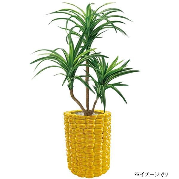 プランター 鉢植え