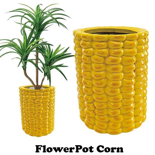 容器 とうもろこし