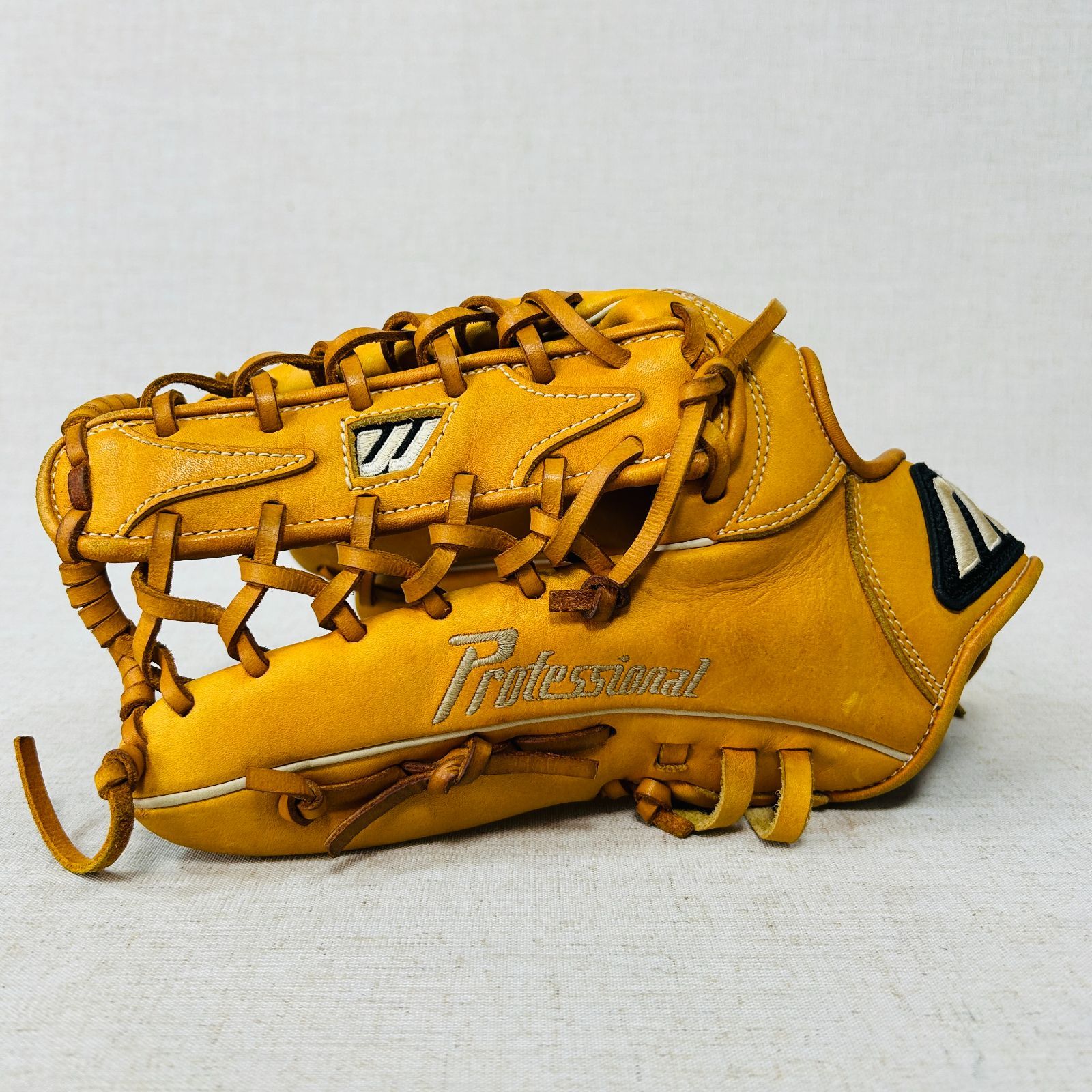 ビューリーグ ビッグM 投手用 ビッグM】MIZUNO ビューリーグ プロフェッショナル Y83127 軟式少年用