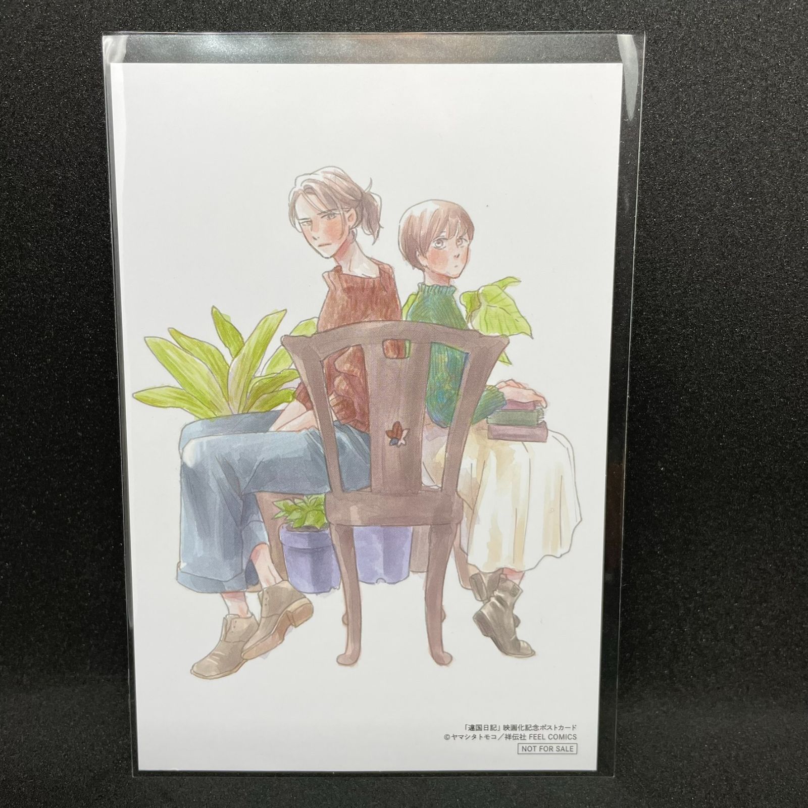 違国日記 映画公開記念 特典 イラストカード ヤマシタトモコ FEEL