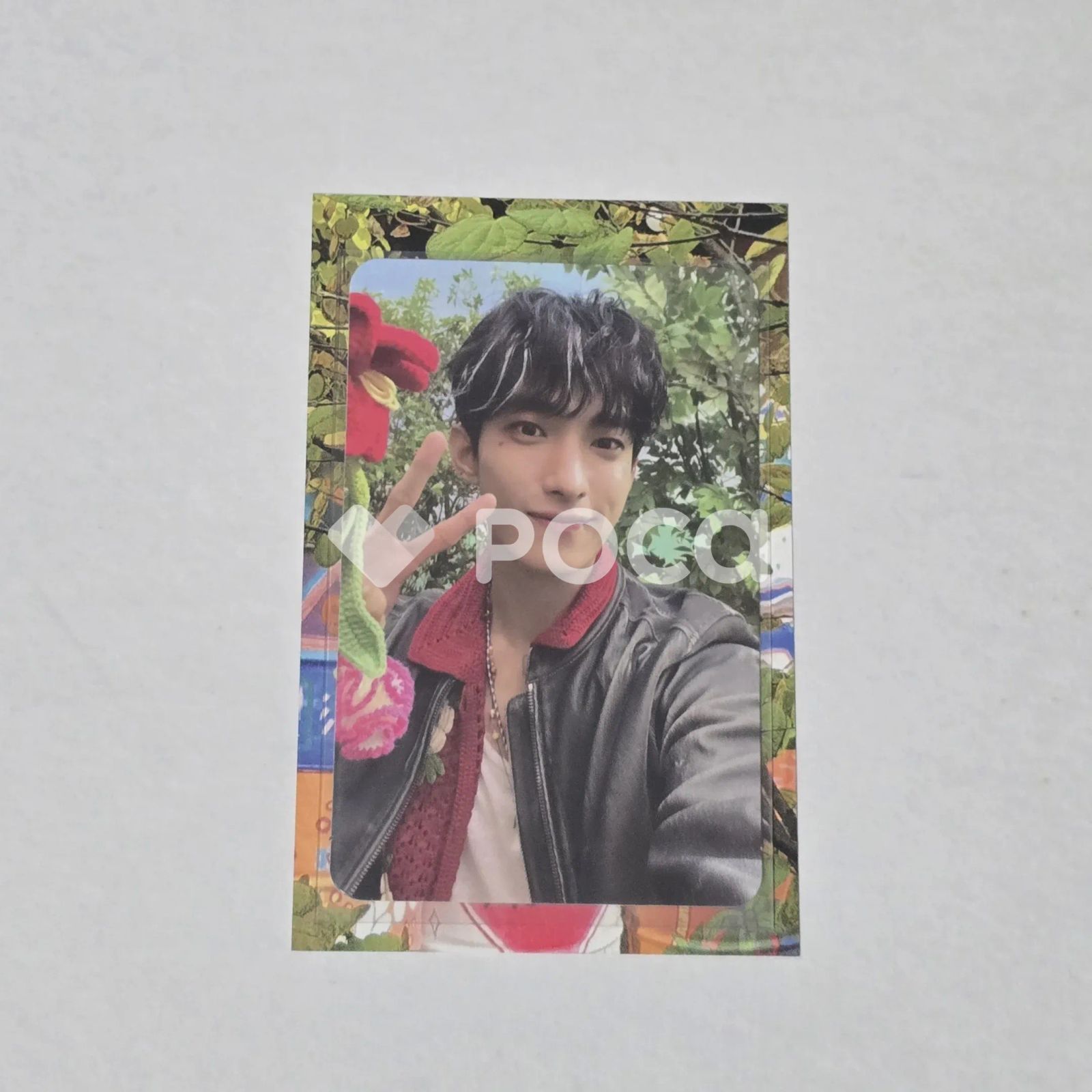 Seventeen ドギョム セブチ SEVENTEENTH HEAVEN Carat Ver. SPONGE