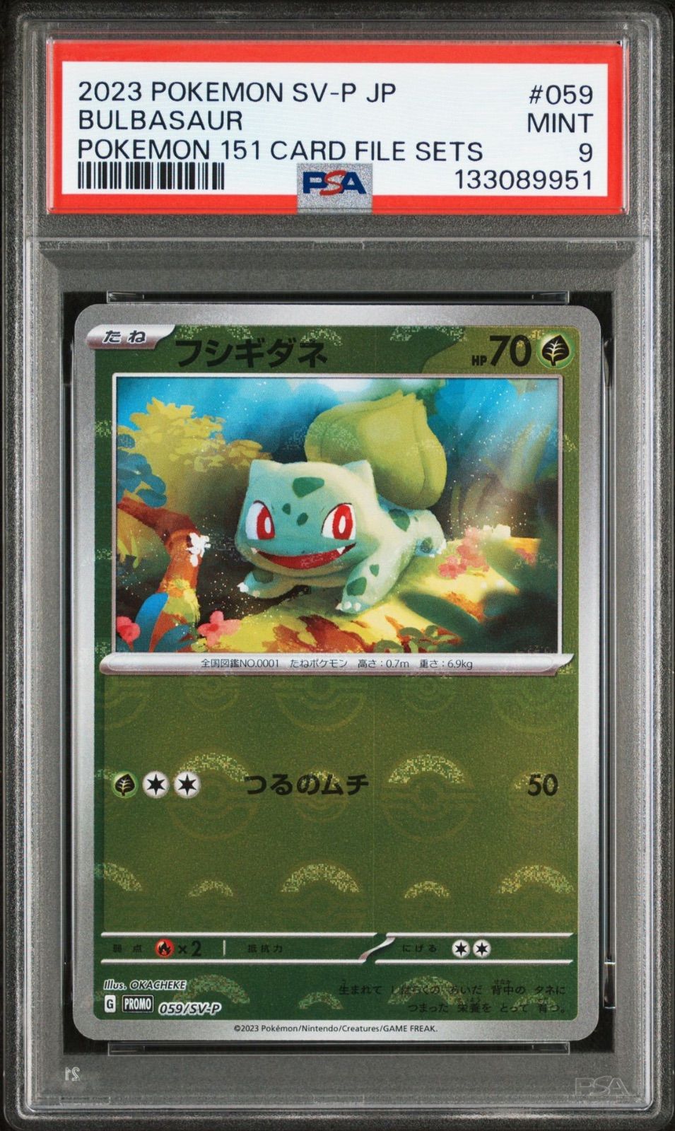 秋*様 ポケモンカード ゼニガメ ヒトカゲ フシギダネ 御三家 3連番