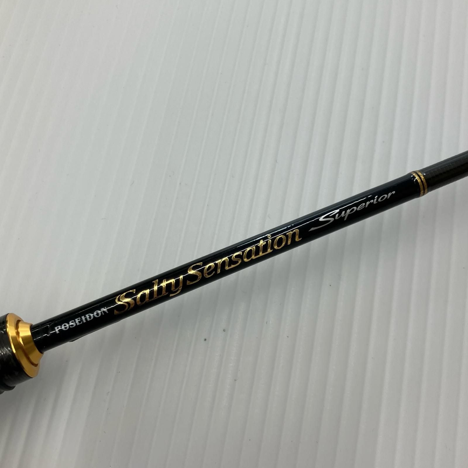 σσEVER GREEN エバーグリーン ルアーロッド ソルティーセンセーション