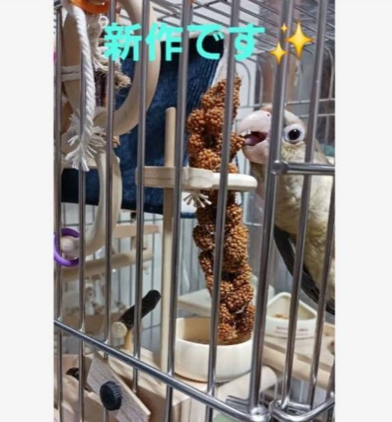 a34 粟の穂ホルダ バードトイ インコ 止まり木 - メルカリ