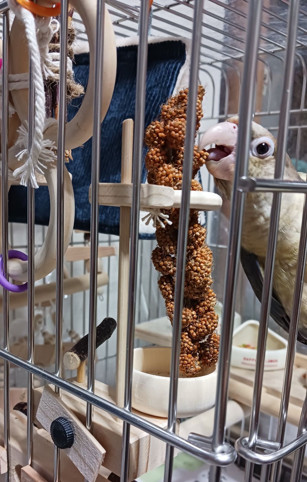 a34 粟の穂ホルダ バードトイ インコ 止まり木 - メルカリ