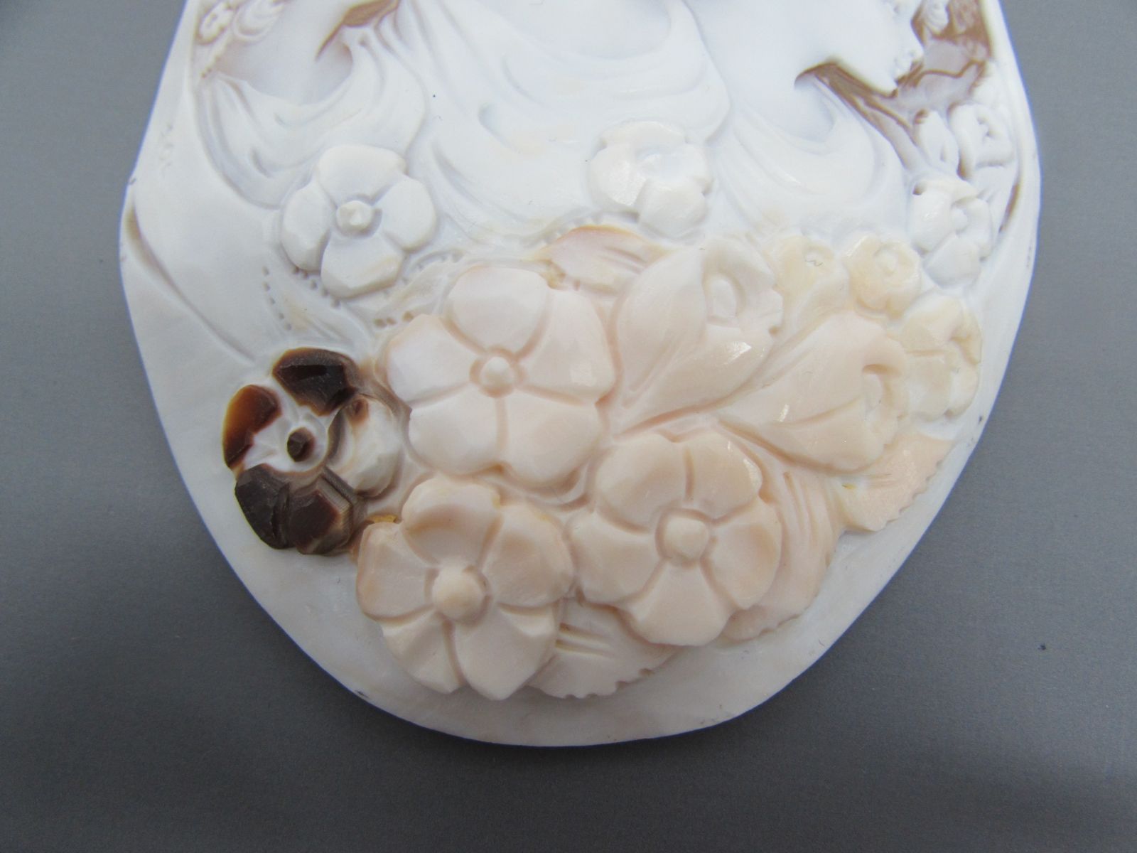 シェル三層カメオSOL チロ・ソルヴィーノ作ルース シェル三層カメオSOL