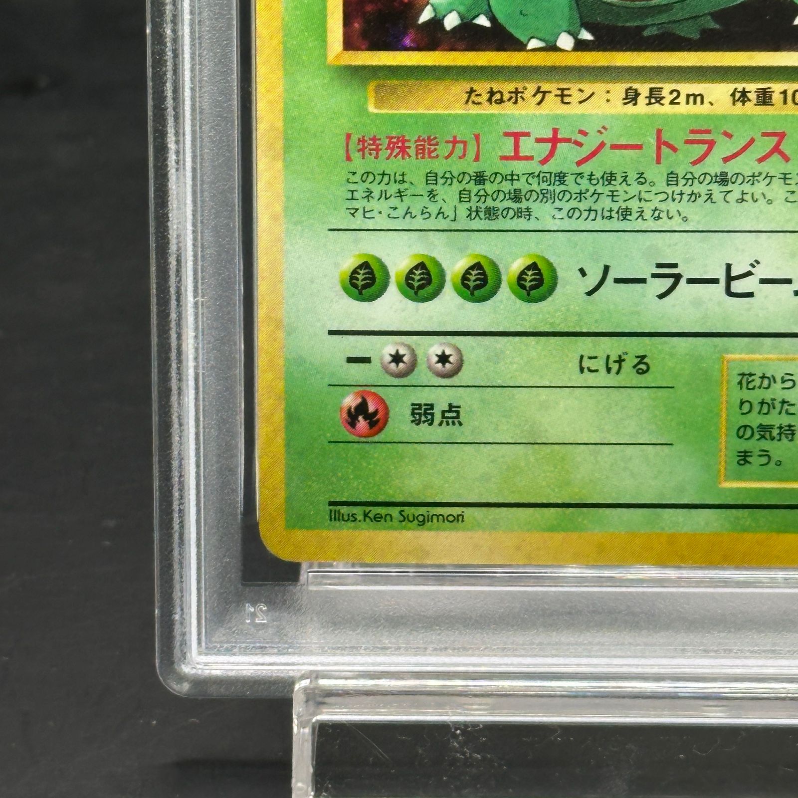 フシギバナ_「とりかえっこプリーズ」 キャンペーンカード PROMO 第1世代… フシギバナ_「とりかえっこプリーズ」 キャンペーンカード PROMO 第1世代…