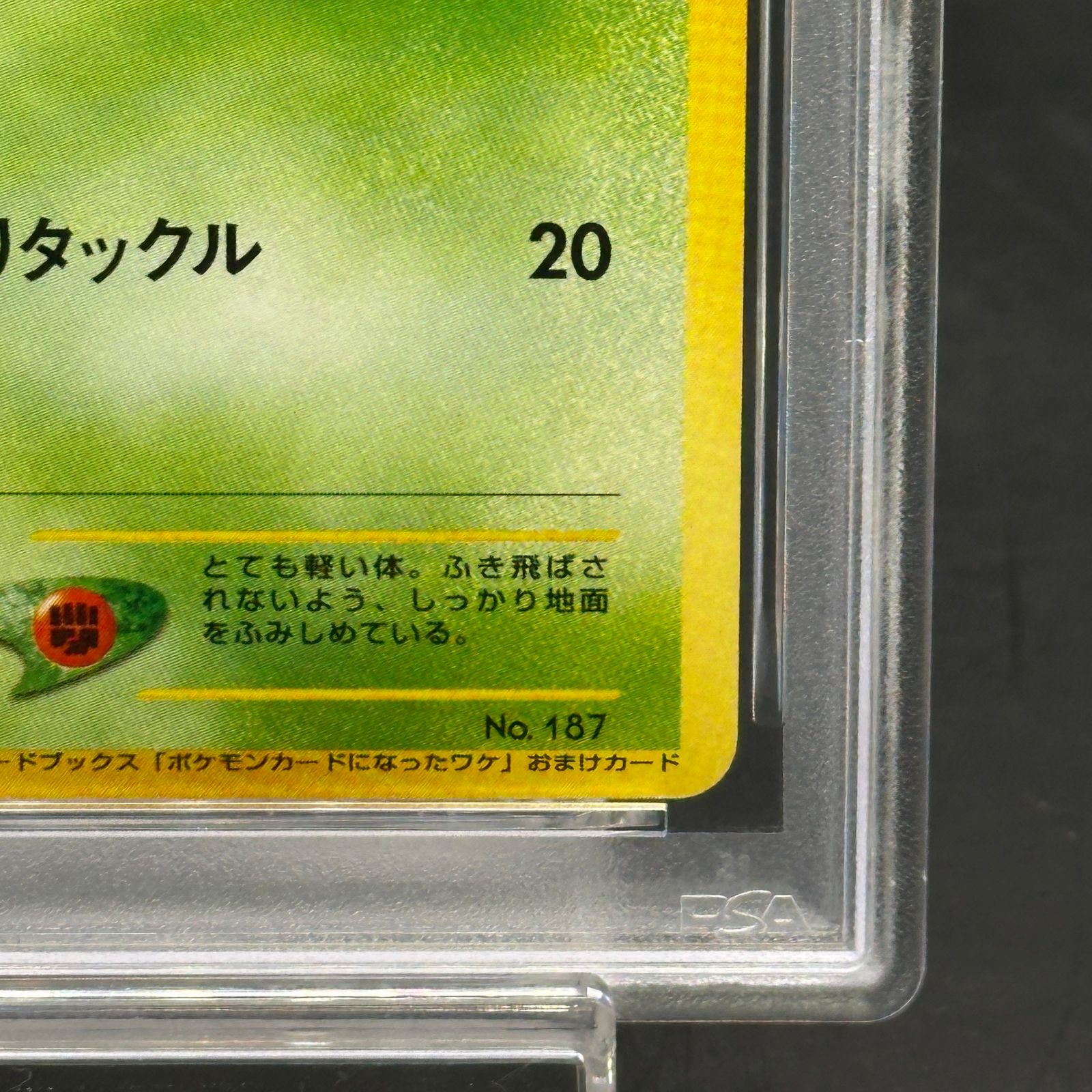 PSA6】ハネッコ 《「ポケモンカードになったワケ 5巻」 おまけカード