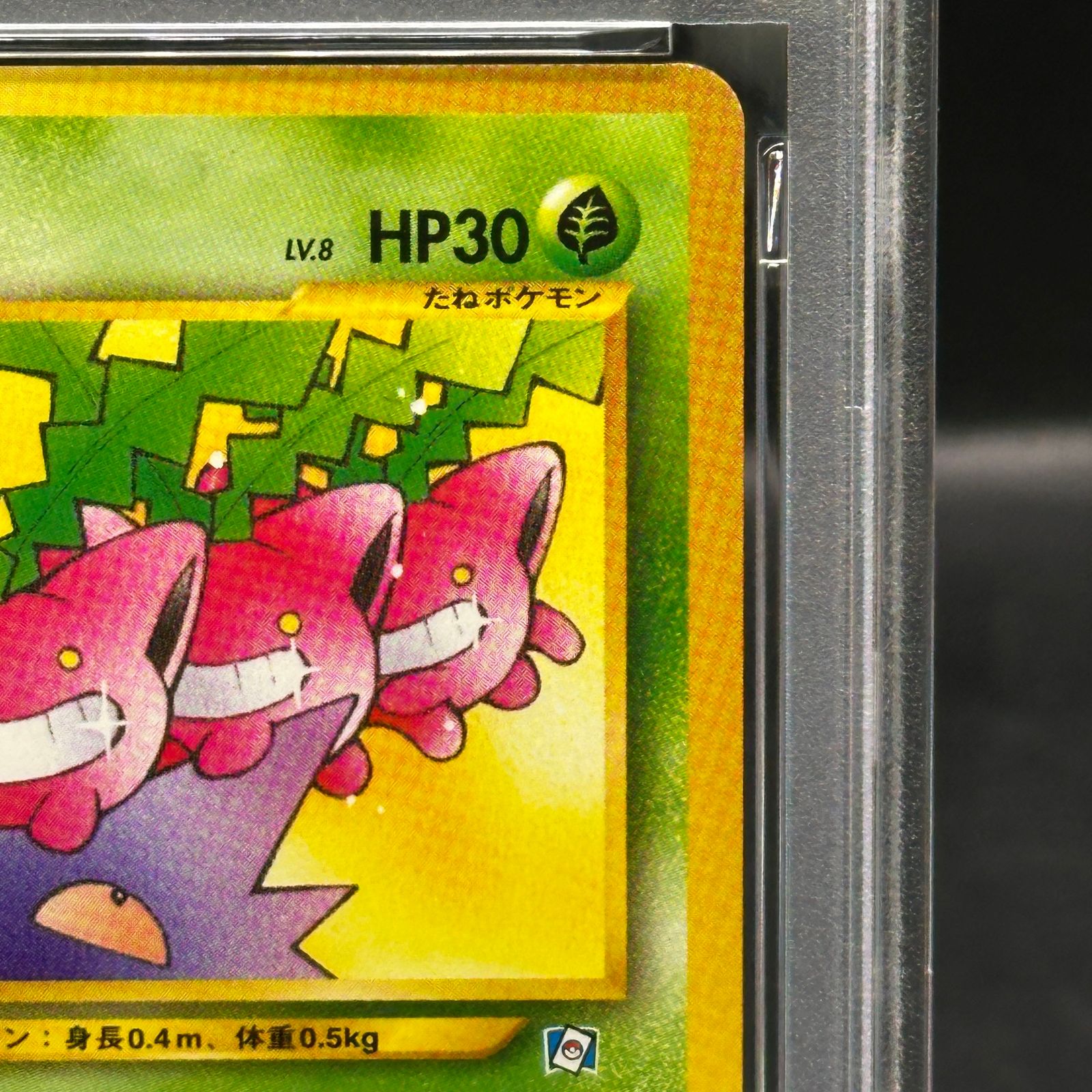 PSA6】ハネッコ 《「ポケモンカードになったワケ 5巻」 おまけカード