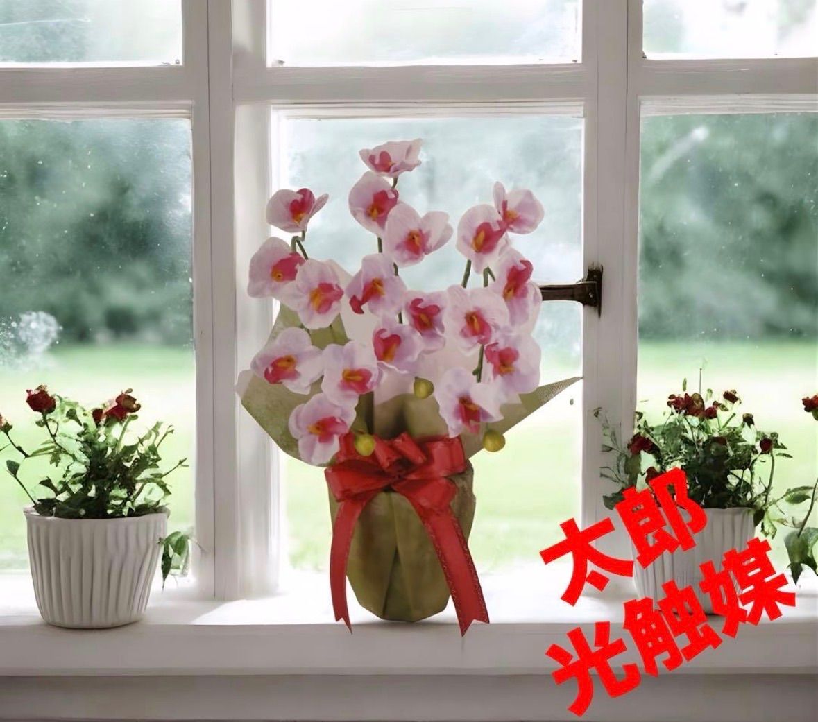 光触媒 人工観葉植物 ウォールグリーン フェイクグリーン ミニ胡蝶蘭