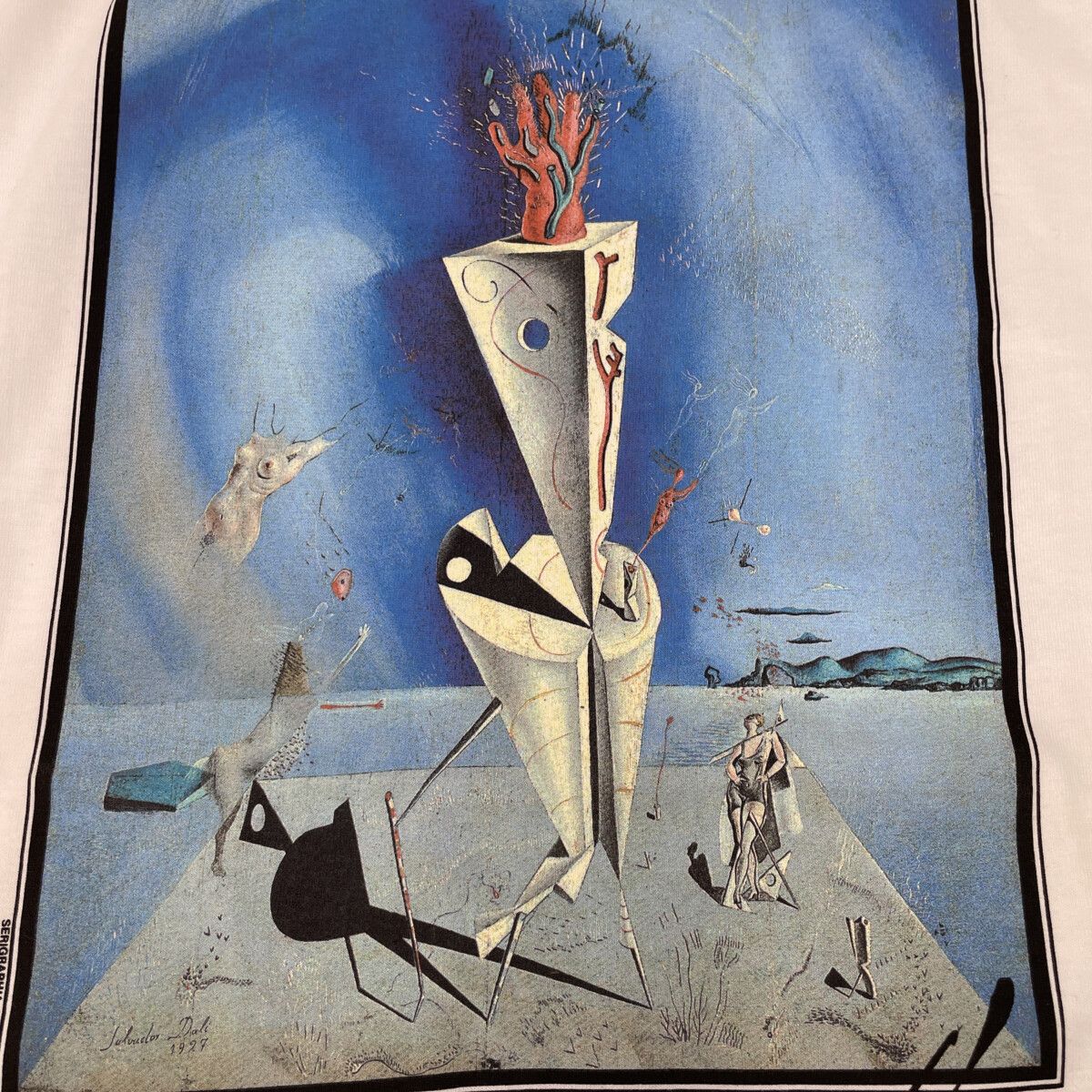 Hanes ヘインズ 90~00S ｻﾙﾊﾞﾄﾞｰﾙﾀﾞﾘ 器官と手 ﾛﾝｸﾞｽﾘｰﾌﾞｶｯﾄｿｰ ｱｰﾄT XL