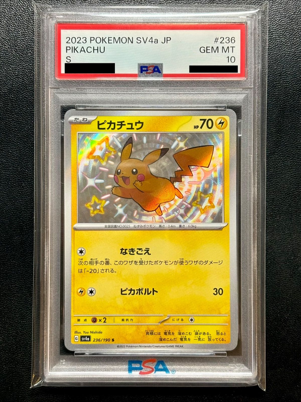 PSA10】2019 ピカチュウ Pikachu #001 GEM MT 10 PSA10 Pokemon Card
