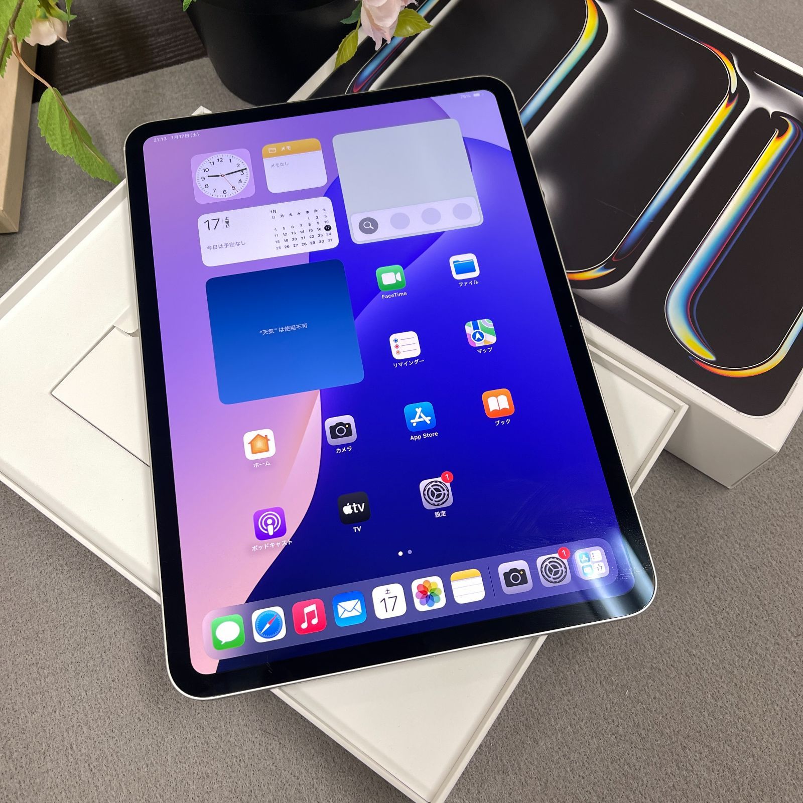 iPad Pro 11インチ M4チップ 256GB シルバー WiFi版モデル 送料無料