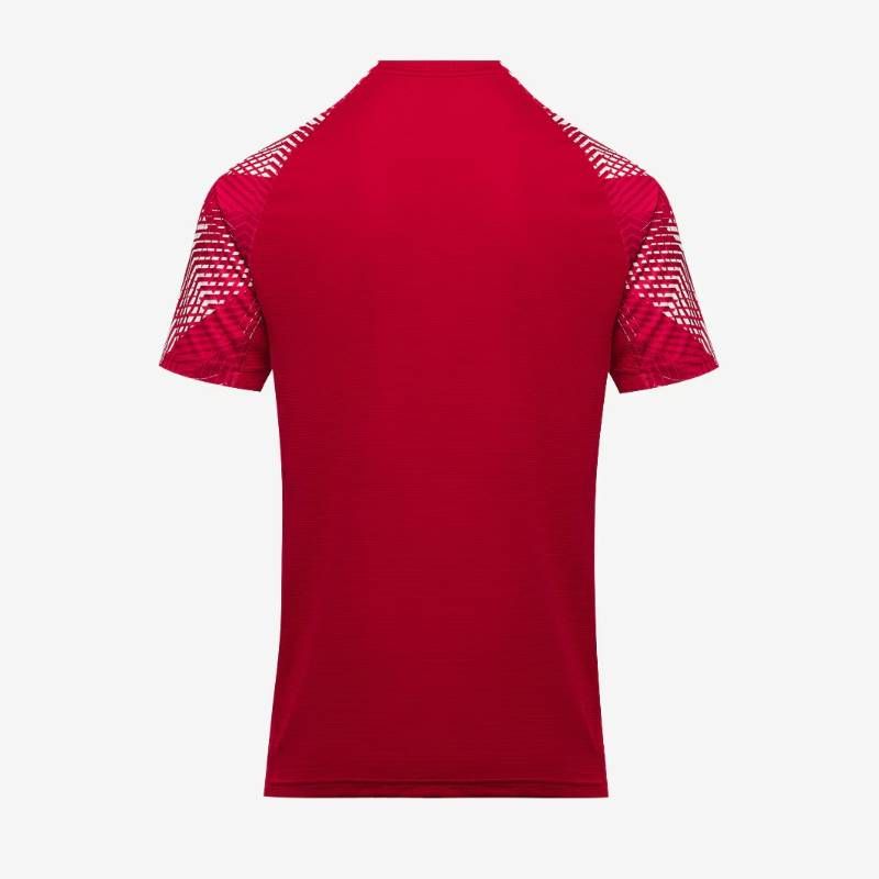 送料無料・匿名配送】ラグビー イングランド代表 25/26 プレマッチ T