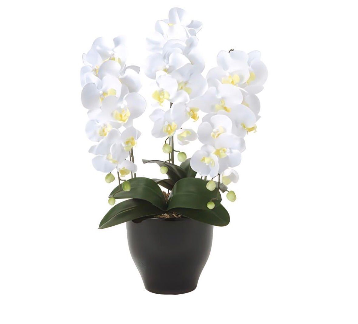 光触媒　人工観葉植物　ウォールグリーン　フェイクグリーン　胡蝶蘭セリースY 光触媒 人工観葉植物 ウォールグリーン フェイクグリーン 胡蝶蘭