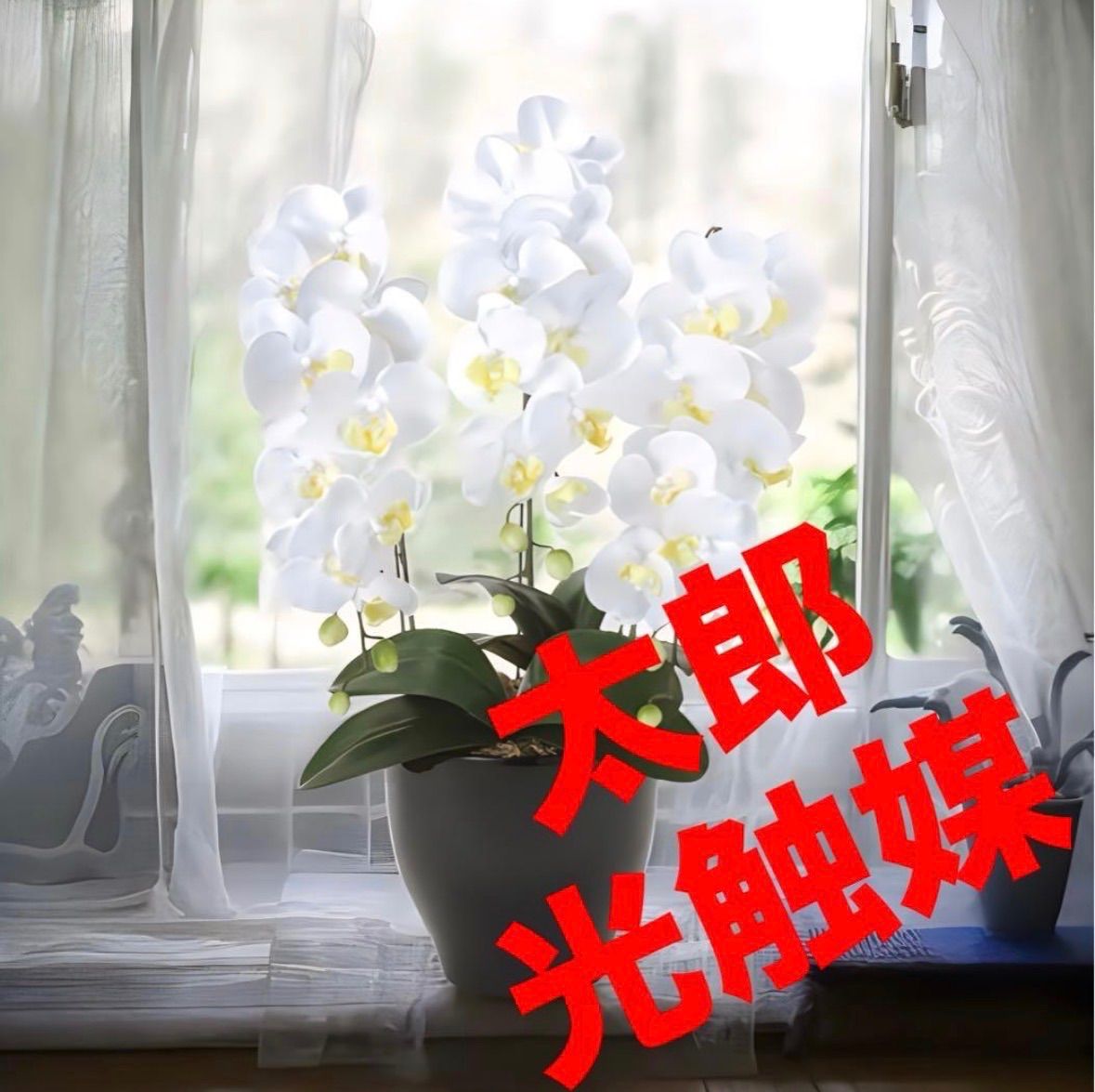 光触媒 人工観葉植物 ウォールグリーン フェイクグリーン 胡蝶蘭