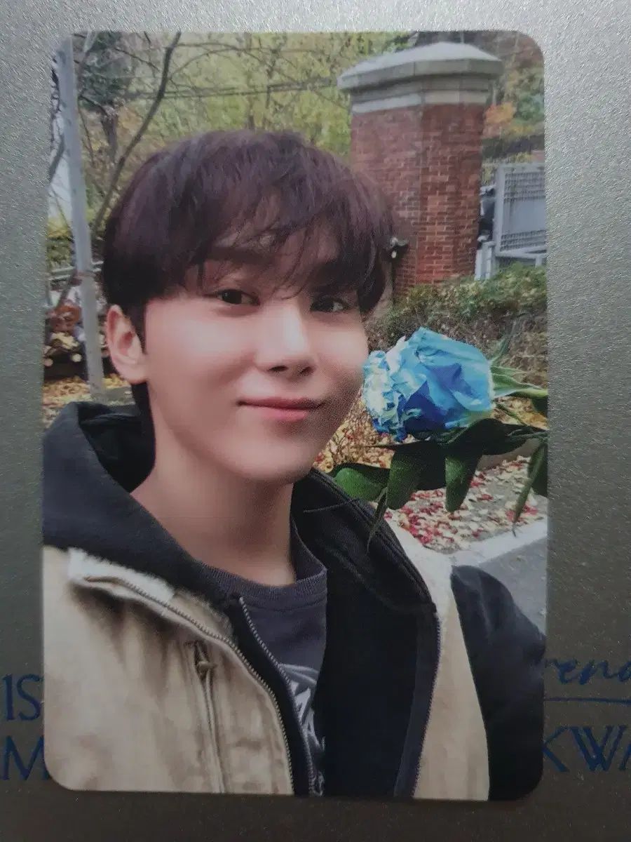 SEVENTEEN ドギョム スングァン 公開放送 サノク トレカ ファン