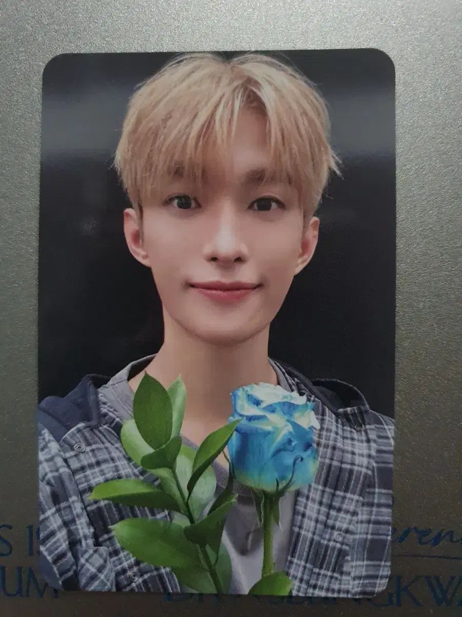 seventeen スングァン 公開放送 サノク トレカ SEVENTEEN DXS サノク