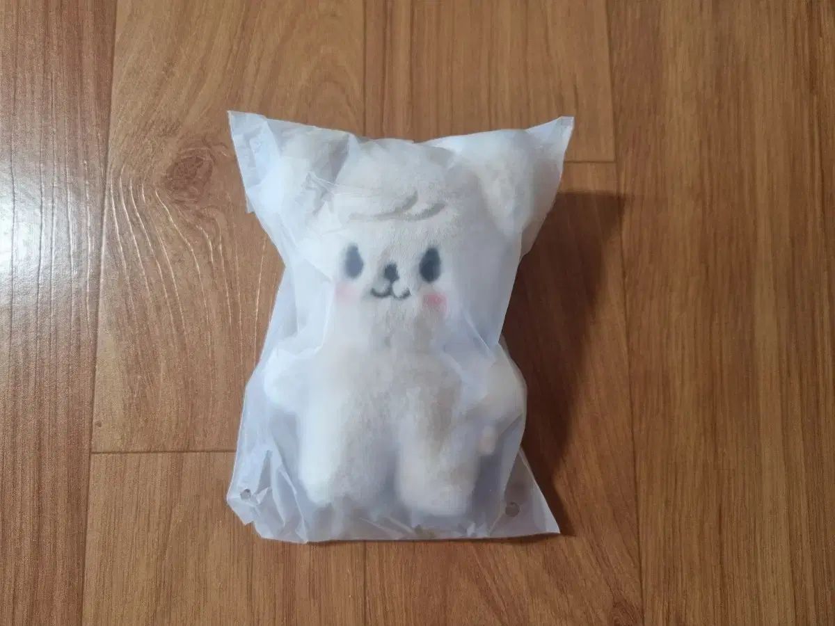 Stray Kids(ストレイキッズ・スキズ・SKZ) アンコールコンサート