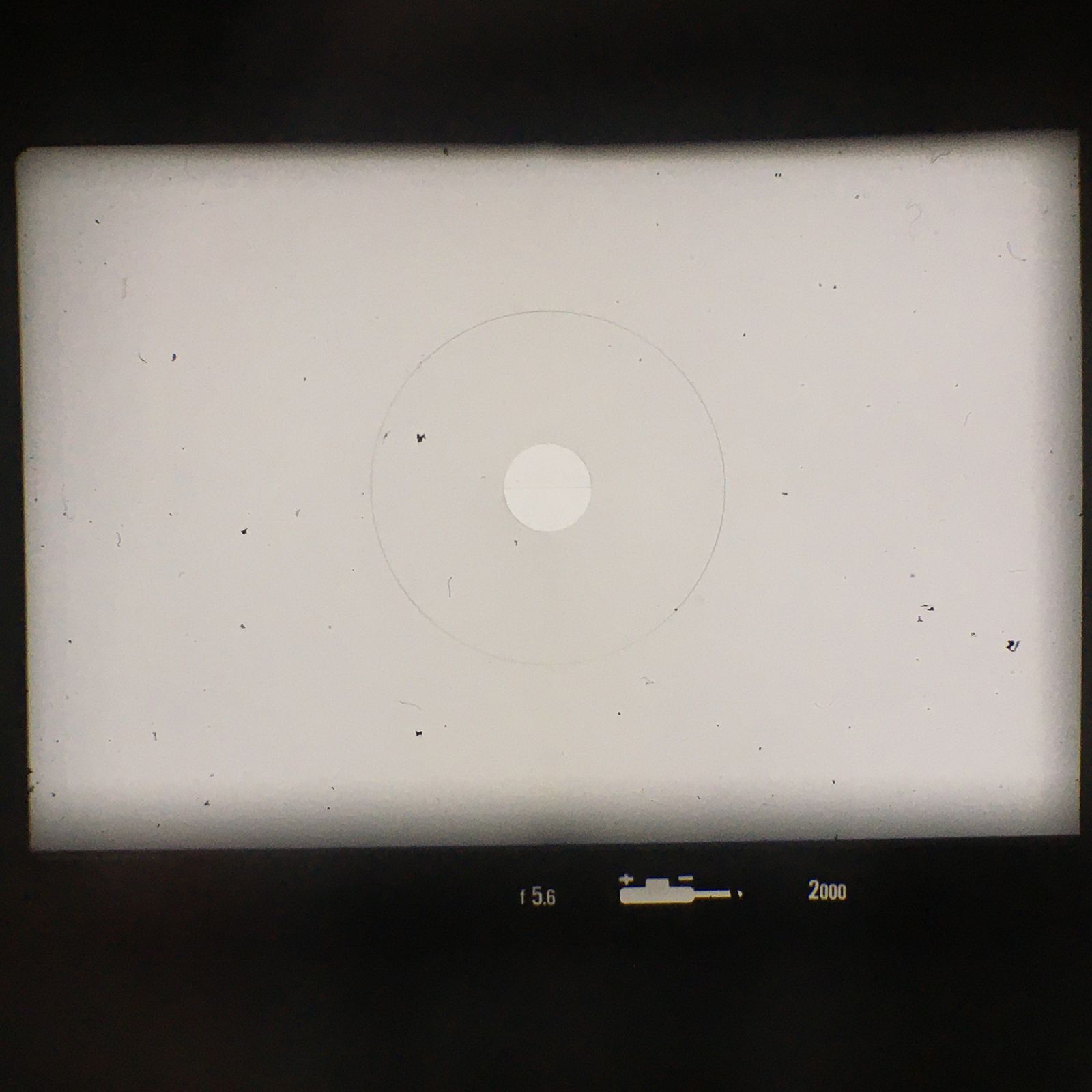 Nikon F2 フィルム一眼レフ カメラボディ 前期型 ニコン 名機 名作