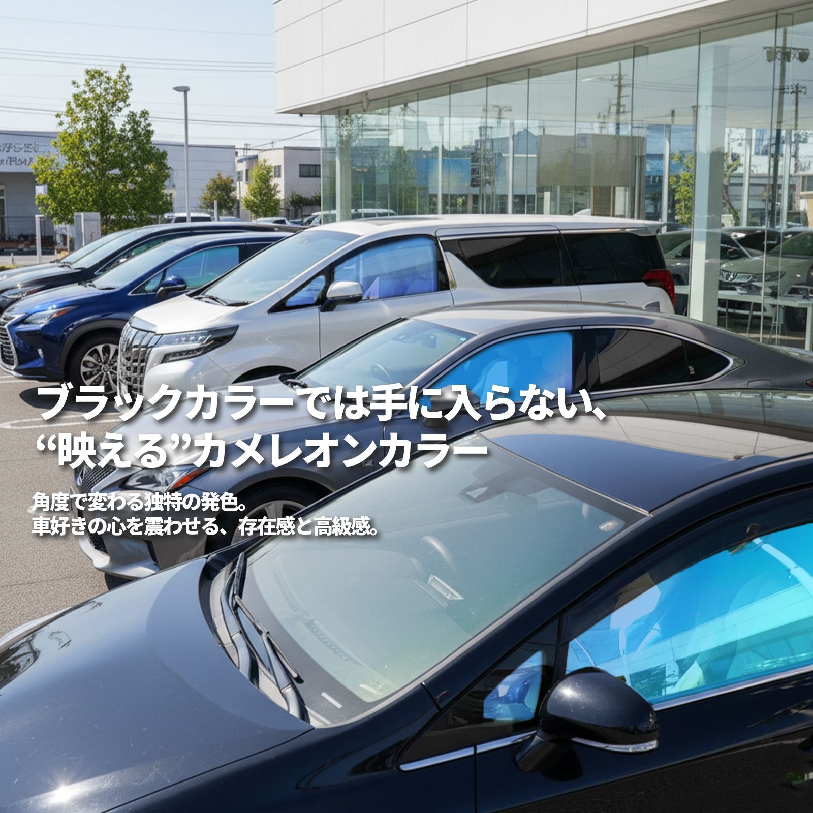 カメレオン・サンシェード サファイヤオーラ フロントサイドセット 