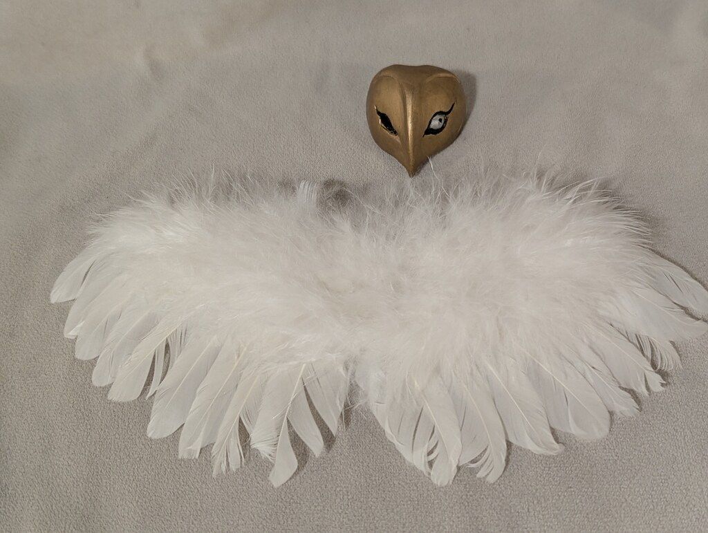 暗黒エンターテイメント THE DOLL Fallen Angel - メルカリ