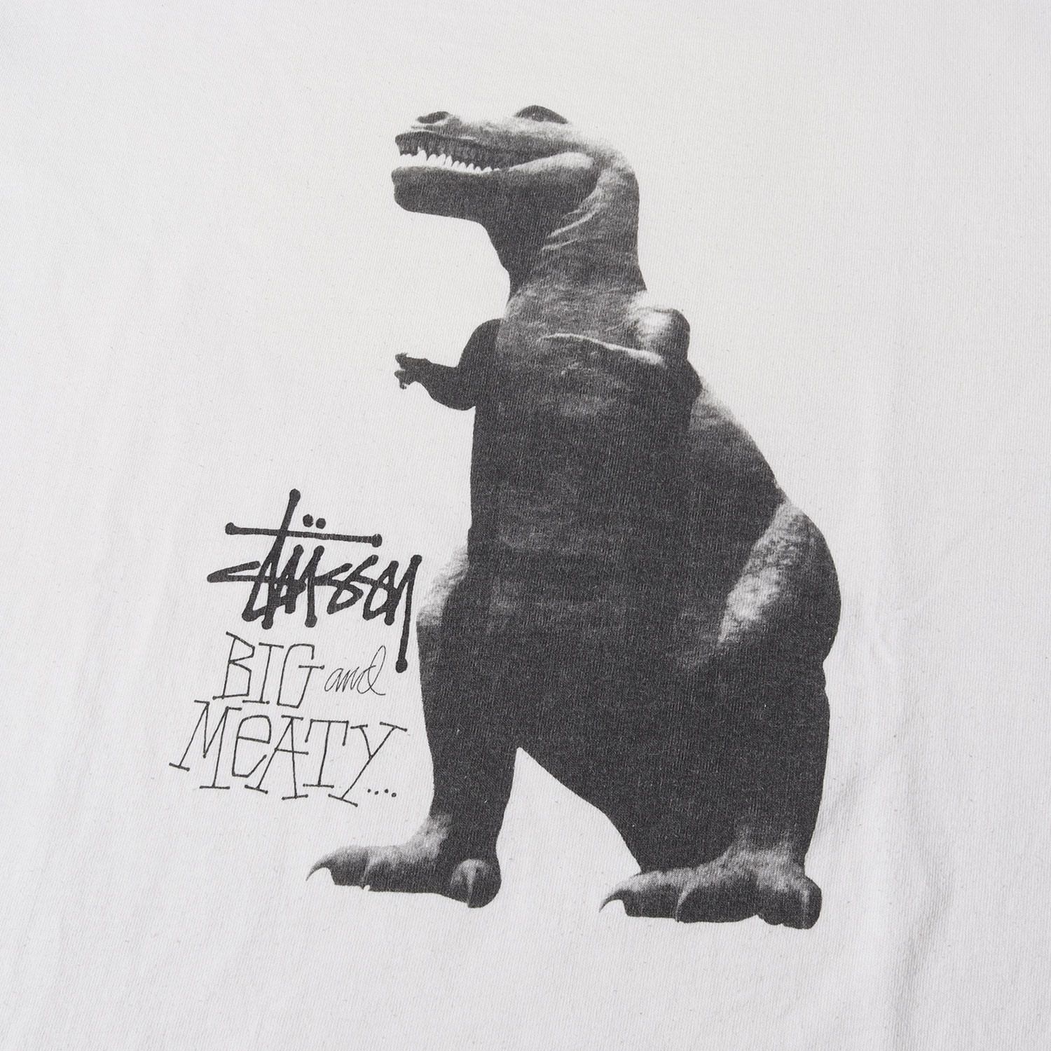 STUSSY ステューシー Tシャツ サイズ:L / 90s OLD STUSSY 紺タグ T-REX 
