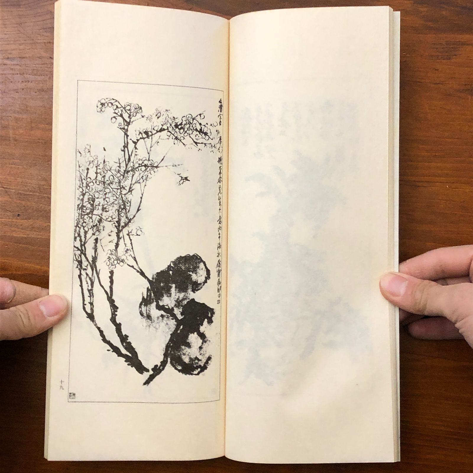 苦鉄砕金 全五巻 呉昌碩 書道 篆刻 中国書道 国書刊行会 古書 苦鉄砕金 全五巻 呉昌碩 国書刊行会 昭和50年3月31日発行 ☆書道/拓本