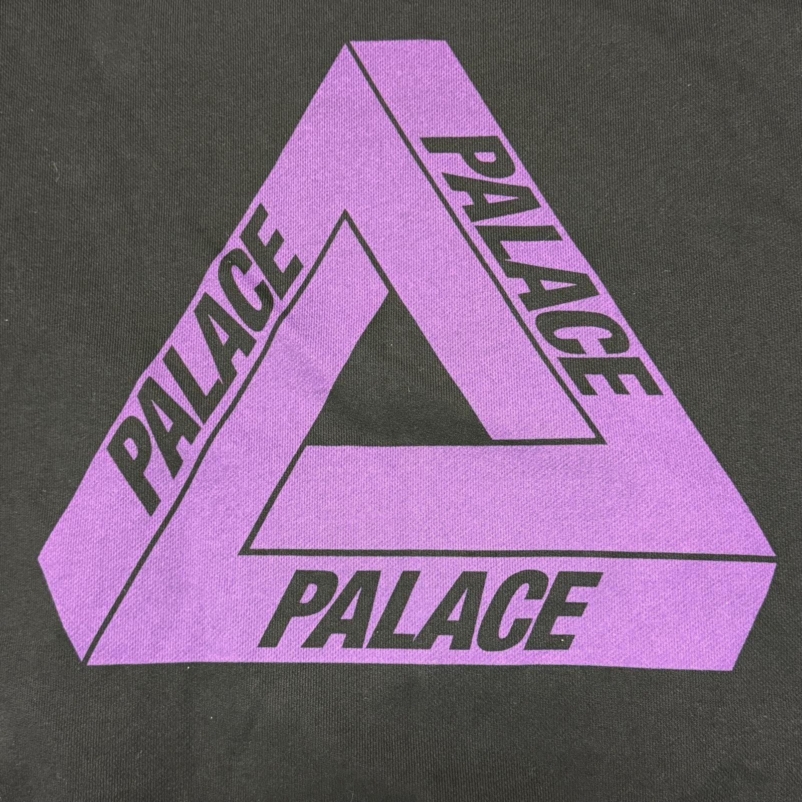 未使用 THE NORTH FACE PURPLE LABEL × PALACE 25AW Field Graphic 