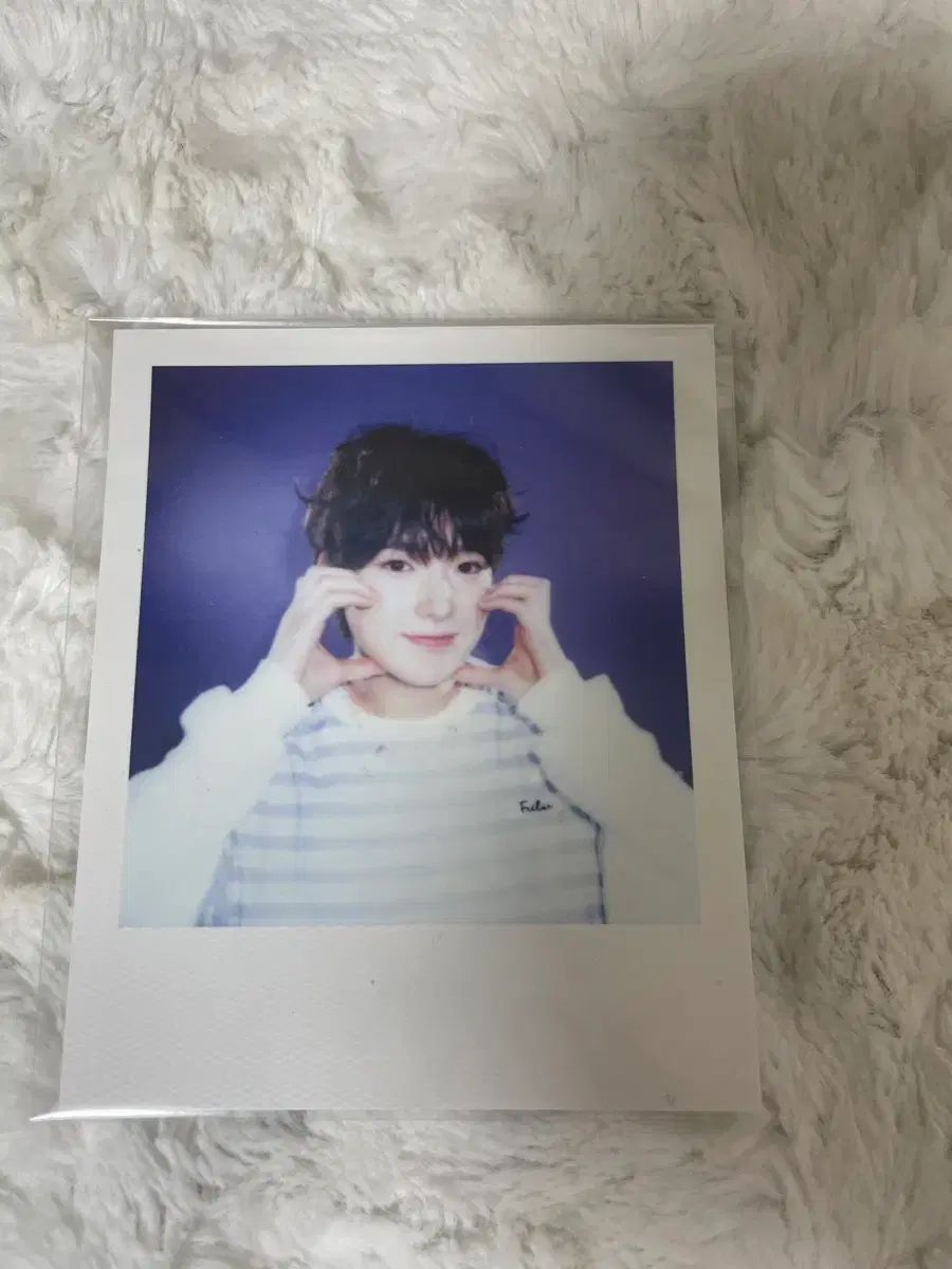 NCT(エヌシーティー) WIND AND WISH シーグリ チェキ ポラロイド