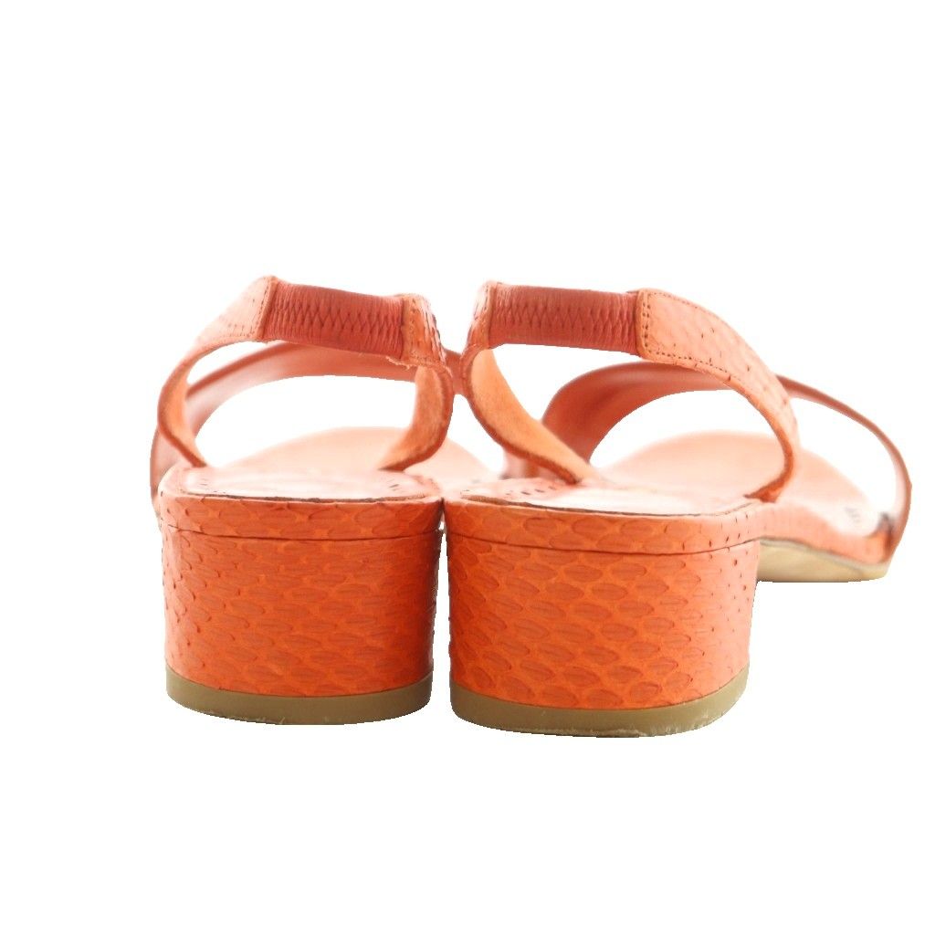 MANOLO BLAHNIK スリングバックサンダル 36 MANOLO BLAHNIK スリング