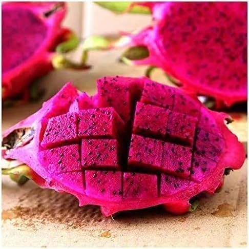 ドラゴンフルーツ 赤肉種 1玉入 紅心 火龍果 - メルカリ