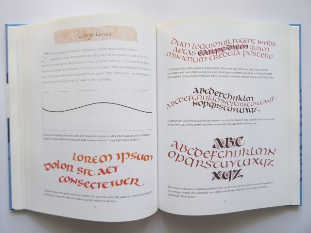 洋書◇カリグラフィー作品写真集 本 文字 アルファベット 描き方