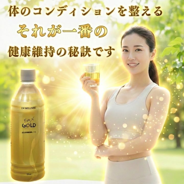 EMXゴールド 500ml 2本 EMXGOLD emx gold emゴールド em EM生活 健康 